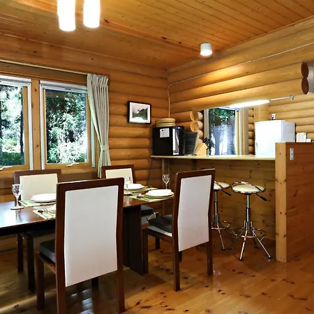 Big Bear Chalets & Apartments Hakuba Extérieur photo