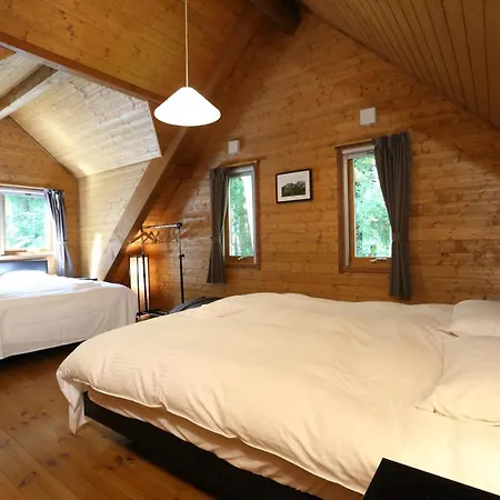 Big Bear Chalets & Apartments Hakuba Extérieur photo