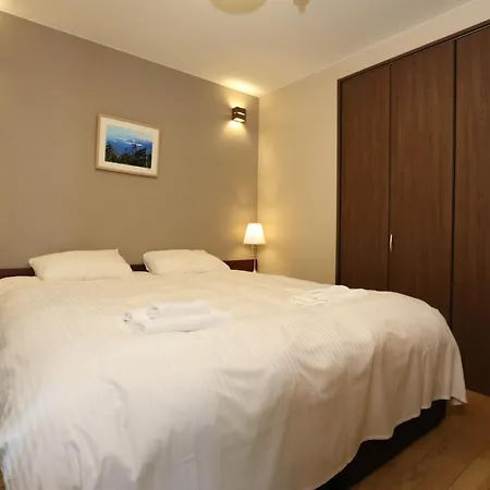 Big Bear Chalets & Apartments Hakuba Extérieur photo