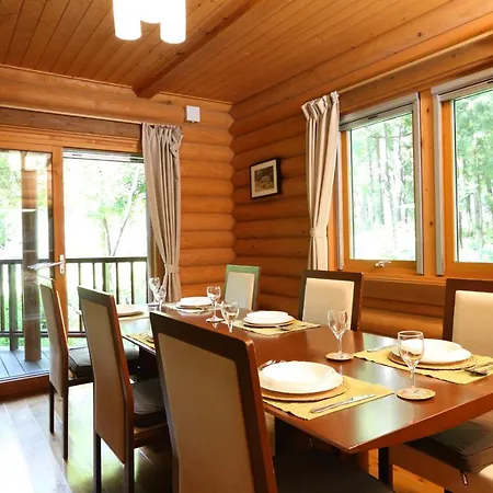 Big Bear Chalets & Apartments Hakuba Extérieur photo