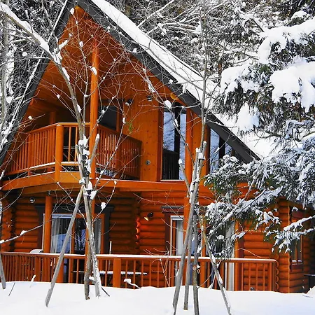 Big Bear Chalets & Apartments Hakuba Chambre photo